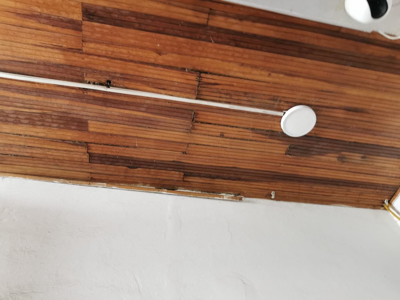 WhatsApp Image 2026-02-22 at 4.59.28 PM