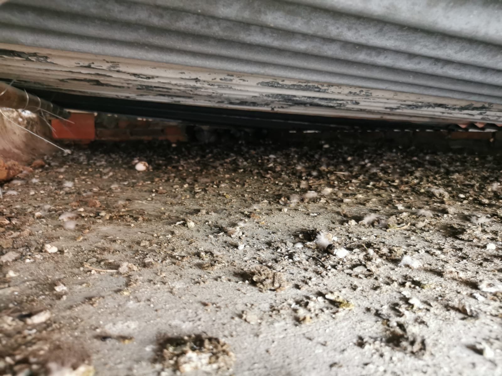 WhatsApp Image 2026-02-22 at 4.59.29 PM