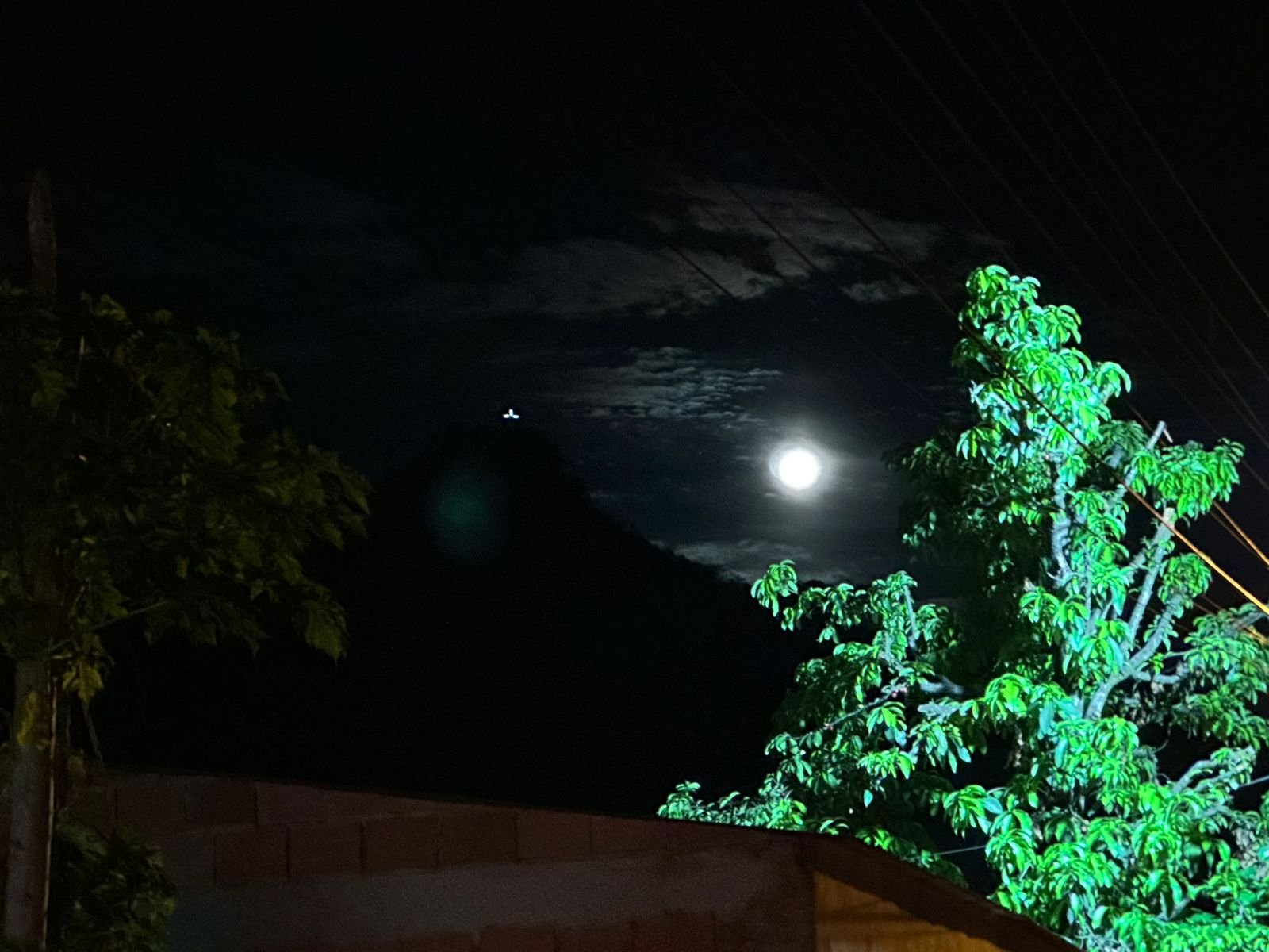 WhatsApp Image 2026-04-04 at 3.47.36 PM (2)